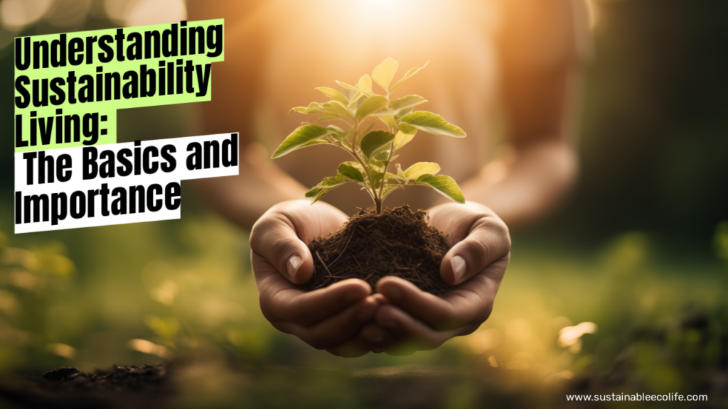 Understanding Sustainable Living: The Basics and Importance